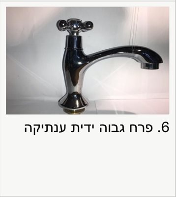 פרח עתיק מים קרים