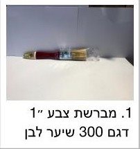 מברשת 1