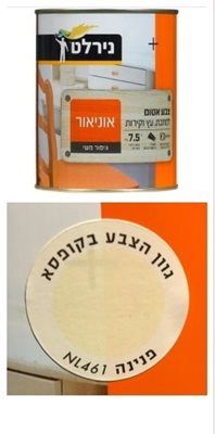 פנינה / צבע אטום למתכת עץ וקיר / 0.75 ליטר