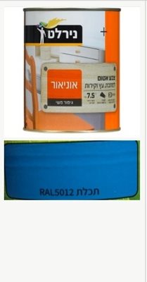 תכלת / צבע אטום למתכת עץ וקיר / 0.75 ליטר