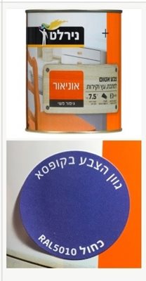 כחול / צבע אטום למתכת עץ וקיר / 0.75 ליטר