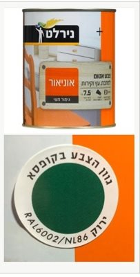 ירוק / צבע אטום למתכת עץ וקיר / 0.75 ליטר