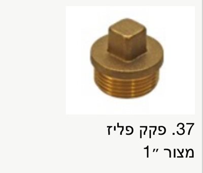 פקק