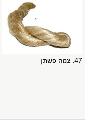 צמה פשתן